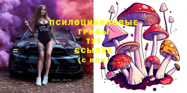 ПСИЛОЦИБИНОВЫЕ ГРИБЫ Новый Уренгой