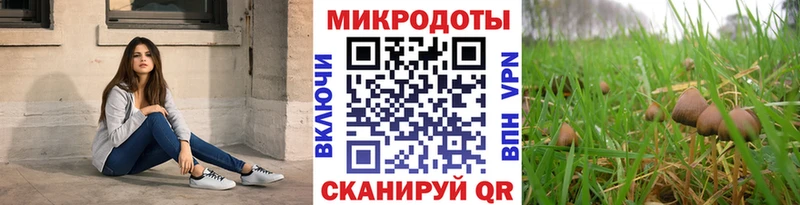 купить наркотики сайты  Иланский  Псилоцибиновые грибы MAGIC MUSHROOMS 
